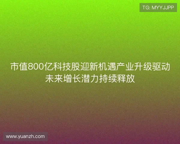 市值800亿科技股迎新机遇产业升级驱动未来增长潜力持续释放